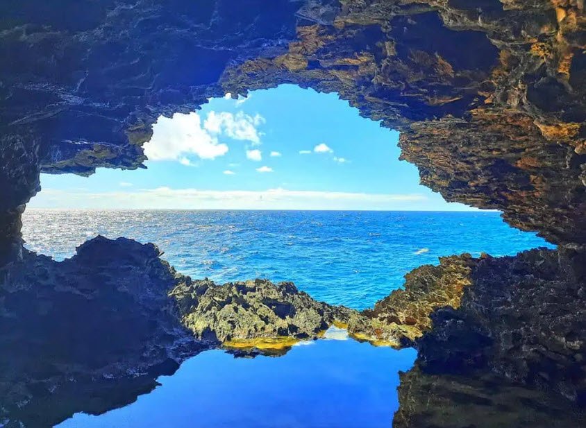 Animal Flower Cave, Barbados